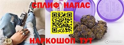 индика Конаково