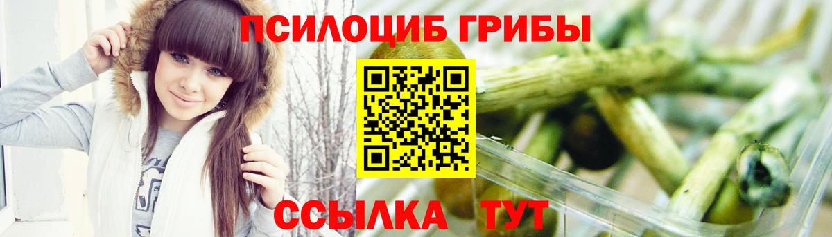 Котлас  Псилоцибиновые грибы мицелий  Вход с VPN 